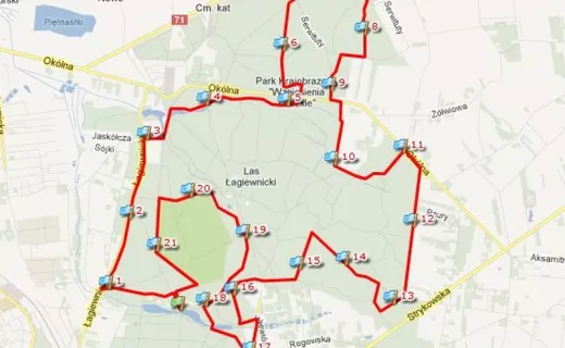 Biegaj w Łodzi: Las Łagiewnicki idealny dla biegaczy - 